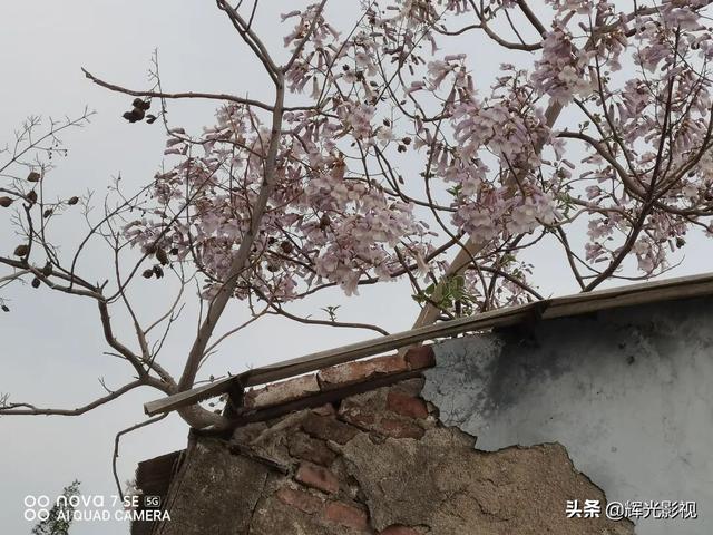 陈修光｜半程坎坷半程修行，感恩生活中的每一个感动