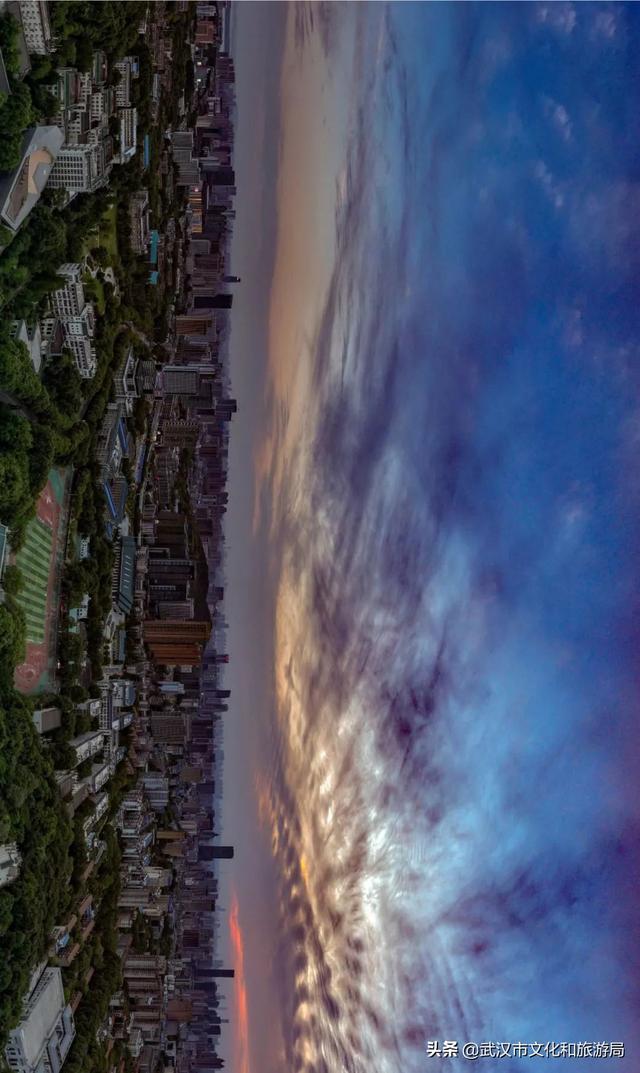你好，珞珈山的夏天……