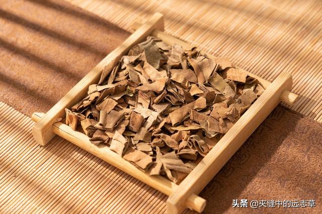 夏之将至，送你一味白花蛇舌草，解热毒、消疮痈、利小便