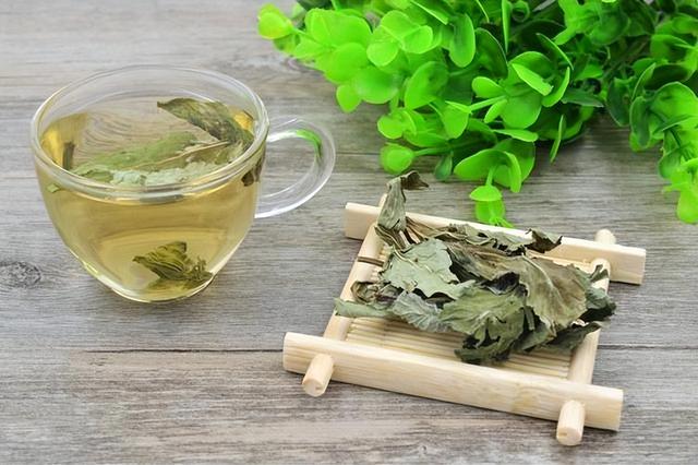 长期喝蒲公英泡水，身体会收获啥好处？提醒：5类人最好别凑热闹