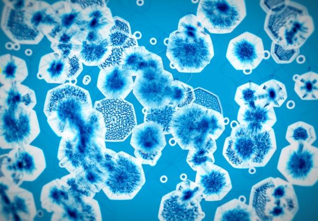 石油是古生物形成的？一个油田上亿吨石油，有那么多古代生物吗？