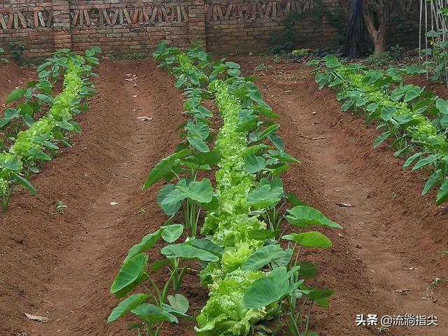 https://blog.sina.com.cn/s/blog_a9f6870c0102z2o3.html