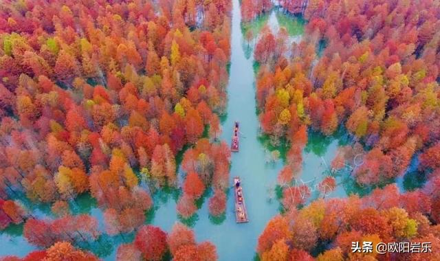 風景在路上！國內最經典的8條親子自駕遊線路，總有一條適合你