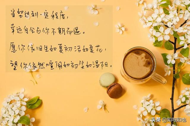 抄书第80天，每日寄语，温暖你我4～愿你依然生如夏花，笑如温阳