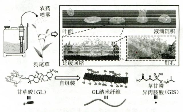 手动喷雾器