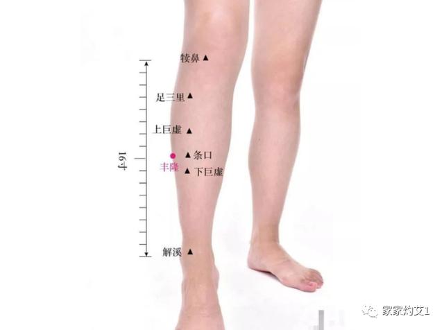 二十四节气灸｜清明艾灸，除湿气，发阳气，调达肝胆，强健脾胃