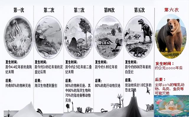 科学家警告：种种迹象已经表明，地球可能正进入第六次生物大灭绝