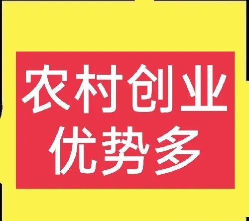 返乡创业项目，农村干啥赚钱返乡创业这5个致富好项目，搞好了你也能月入过万