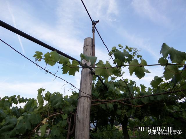 2018年意大利农业机械展