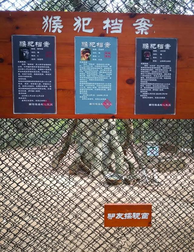 海南旅游岛