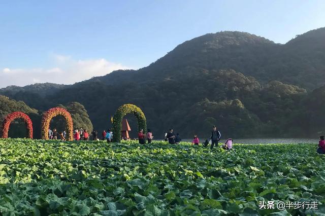 石门国家森林公园