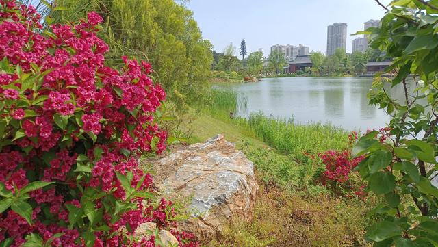 千古胜景，何须远方
