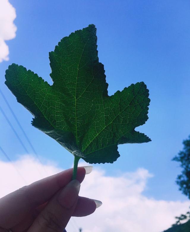 Ȧѡİ̾ӣԸʤԶӯ
