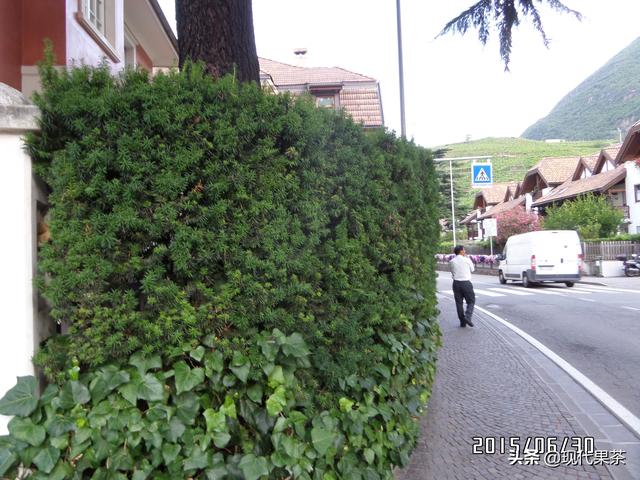 2018年意大利农业机械展