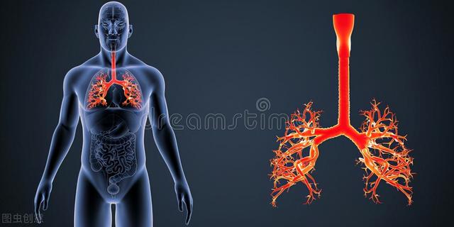 呼吸科有哪些疾病？