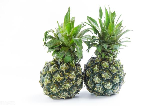 为什么我们一直都不建议营养师学中医理论呢？