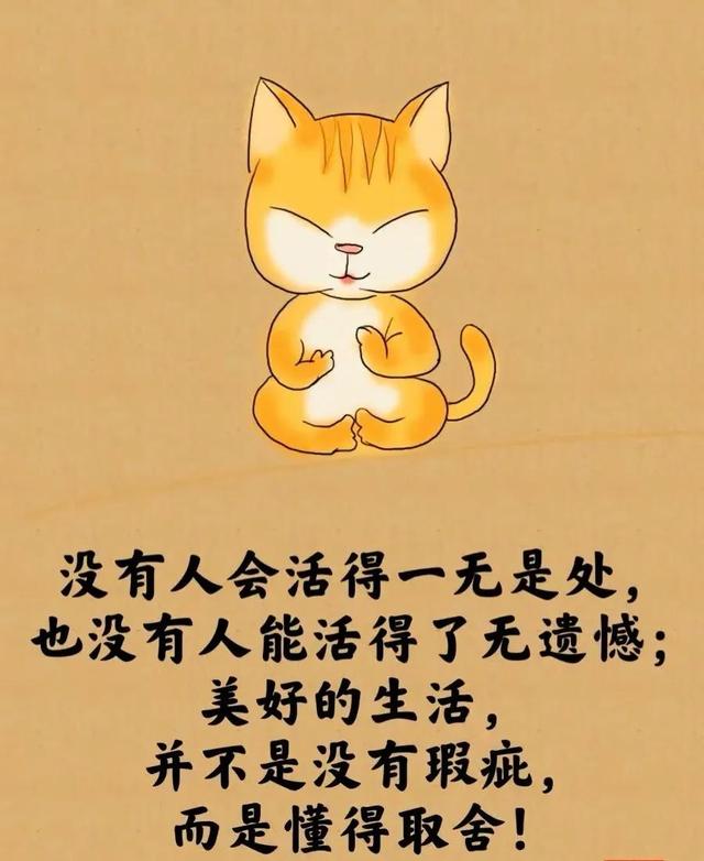 所谓的人生就是⋯