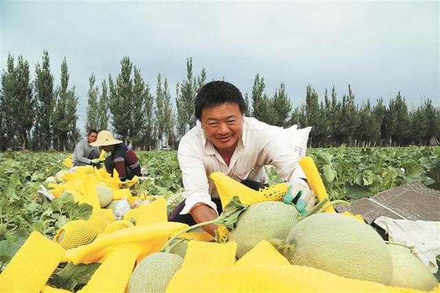 农十三师淖毛湖农场「黄田农场」