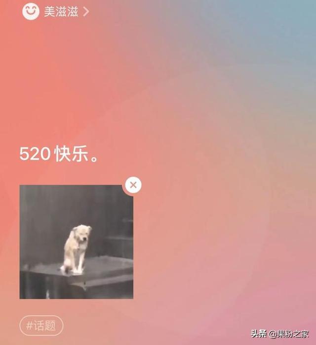 [风车车转发]，微信图片一直发不过去