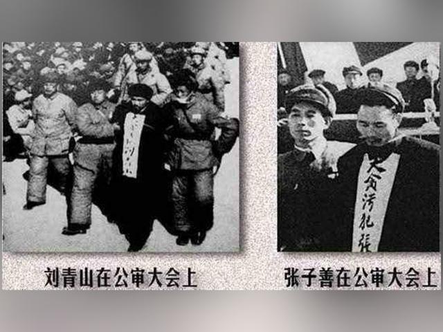 1951年三反运动，毛泽青被当作贪污犯，被逼无奈说：我是主席堂弟