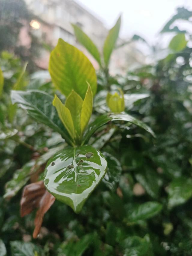 有些事情由不得你