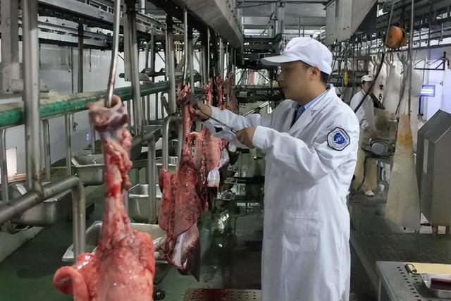 涉及驾驶证、退税、外卖……4月起，这些新规将实施
