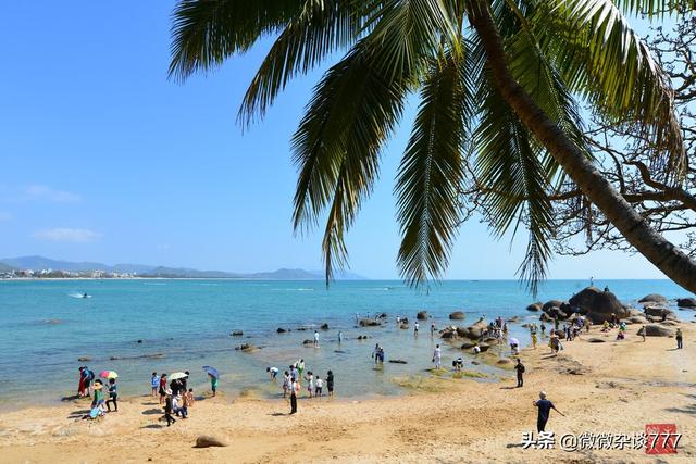 巢湖海沙淡化洗砂机哪家好