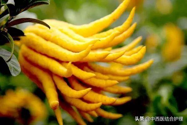 「中医养生」如何预防肿瘤、甲状腺结节、乳腺增生，快来看看吧