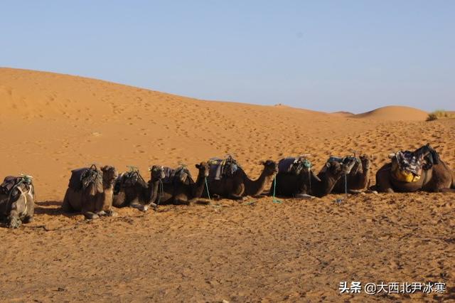 跟著三毛的足迹一起走進撒哈拉沙漠（圖）