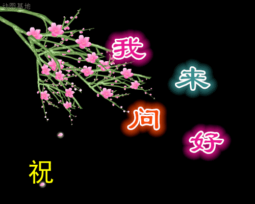 宝马，野马，悍马，都比不上绿码