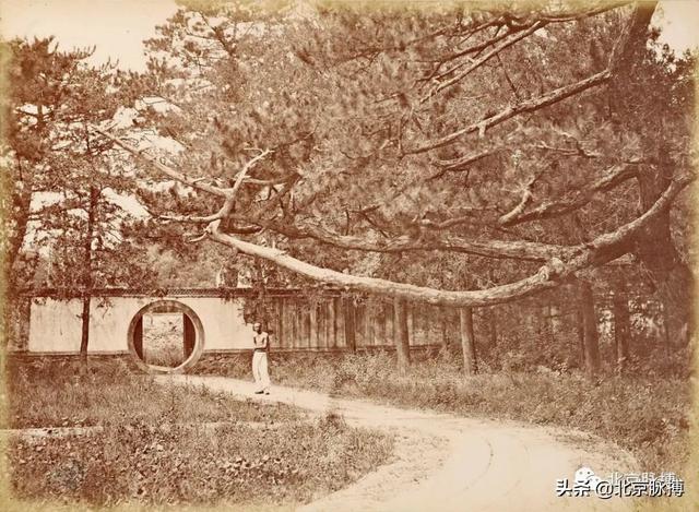畫說北京丨頤和園裏的山河歲月