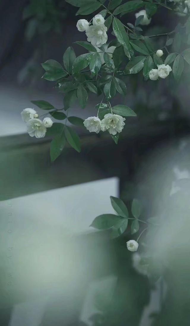 散文：人生无常，善待自己，简单生活，便是烟火中的小幸福