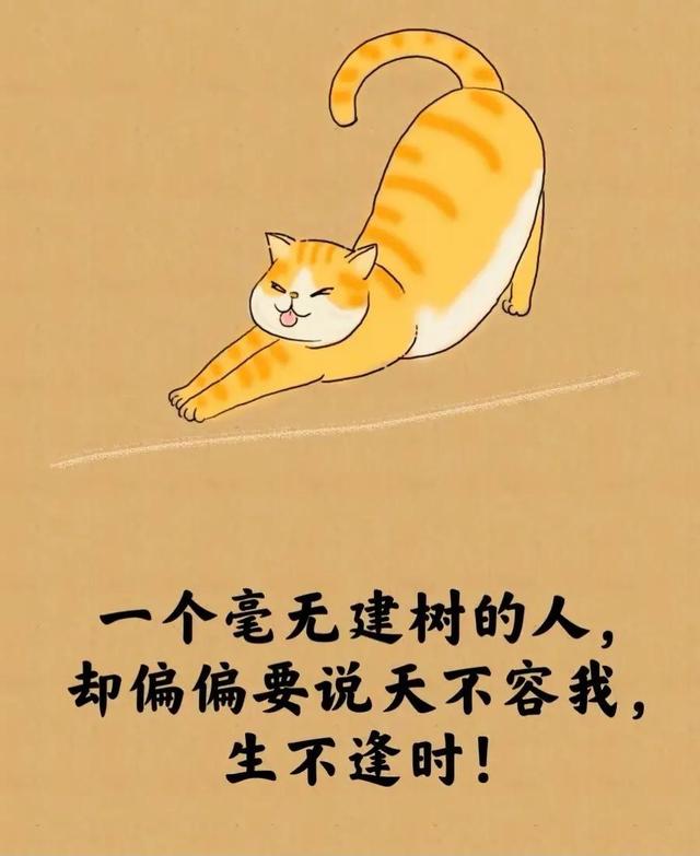 所谓的人生就是⋯