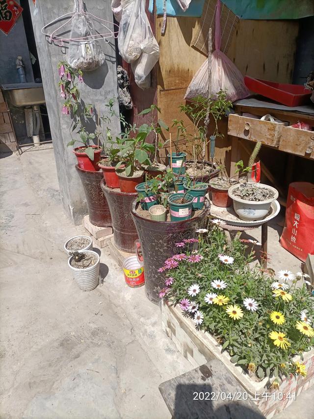 生活随笔记