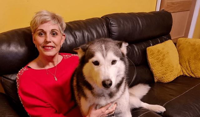搜救犬多厉害？500平方米1滴血，搜救犬用时87秒就找到