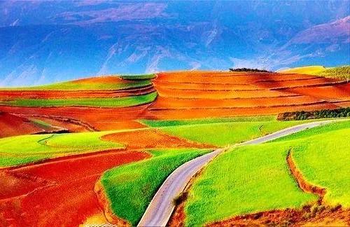 ​8條國內最火自駕路線，開一路美一路……