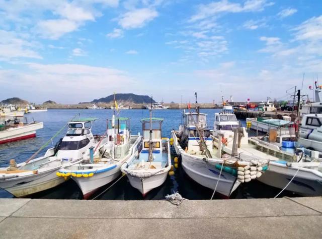 美日印澳欲给中国立规矩，汪文斌回应霸气，并对美国提出五点要求