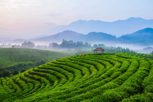 兴义市名片-白龙山生态旅游度假区即将开业插图15