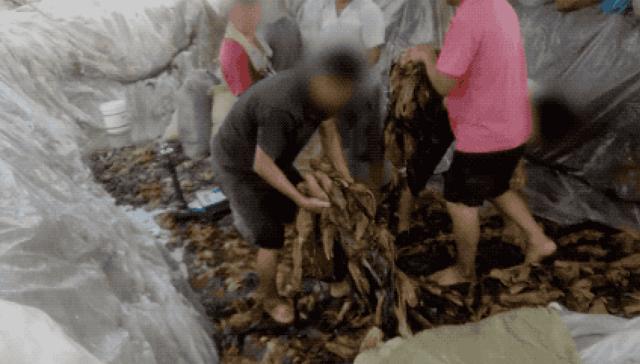 因一包酸菜，导致康师傅、统一流失数亿市值，严钦武到底什么来头