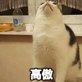 金鹰女神一届更比一届水，到底是哪边在摆烂？