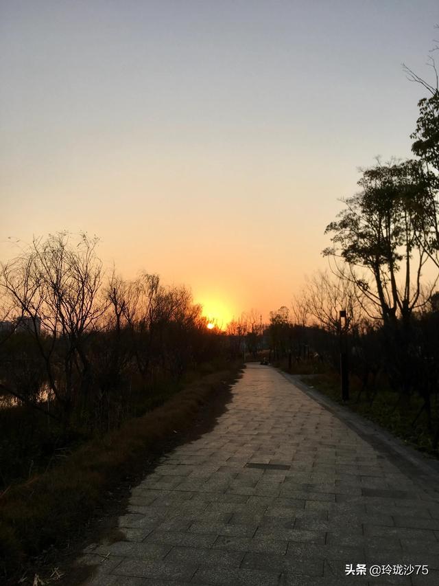 長沙唯一擁有戶外足球場的公園，更有大片水杉美景等你來