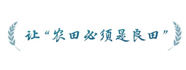 春事看农桑丨农田就是农田