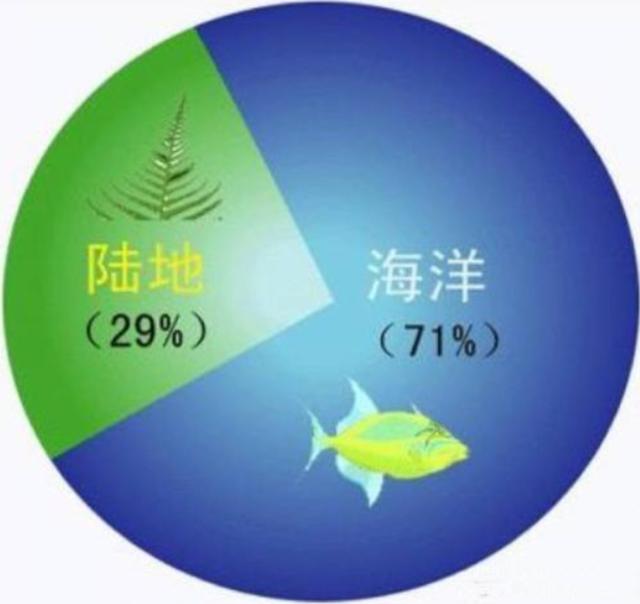 人类为什么只探索了5%的海洋？人类在深海中，发现了什么？
