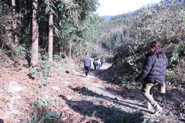 探訪京山的天坑