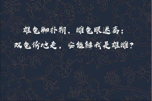 花木兰从军多年未被发现女儿身？可能并不是