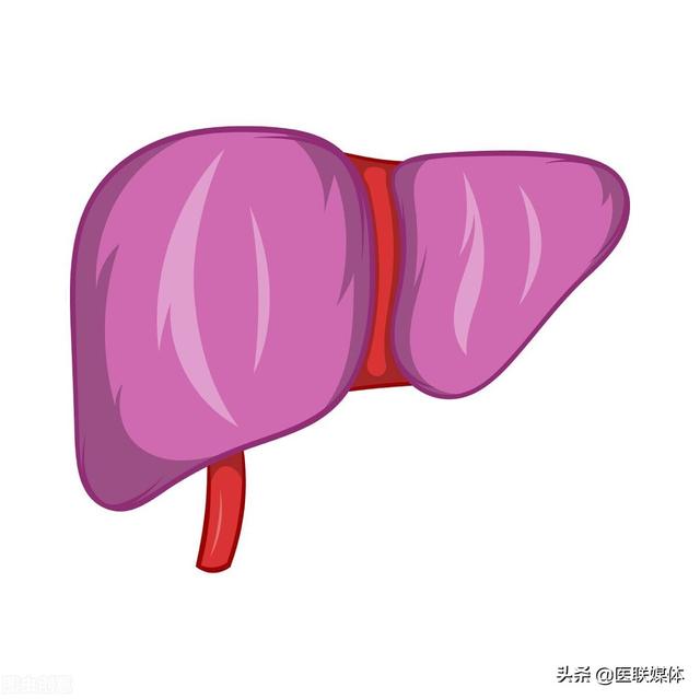 得了脂肪肝会有哪些表现？养护肝脏，留心这2点