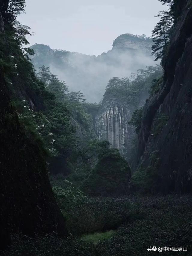 烟雨武夷 | 风景清明后，只一眼便忘却人间无数