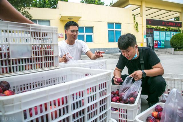 小货车创业做什么生意好见效