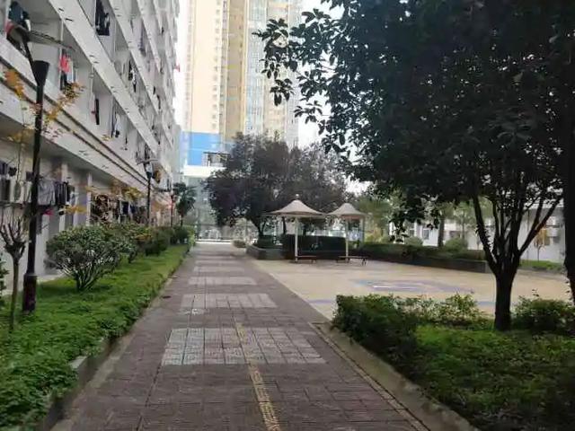正苗启德励志学校(正苗启德特训学校怎么样)(图5)