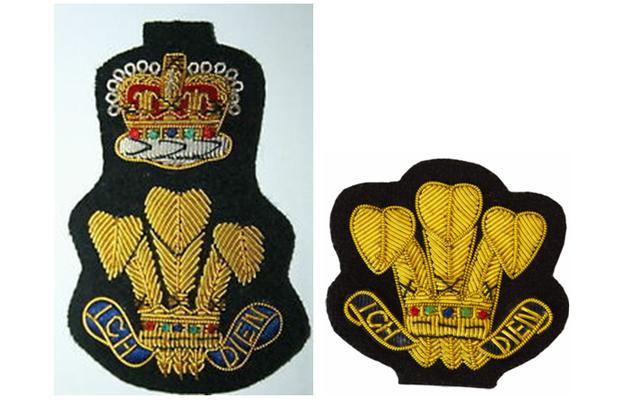部队胸章（维和部队徽章）